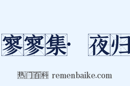 寥寥集·夜归是什么意思的图片